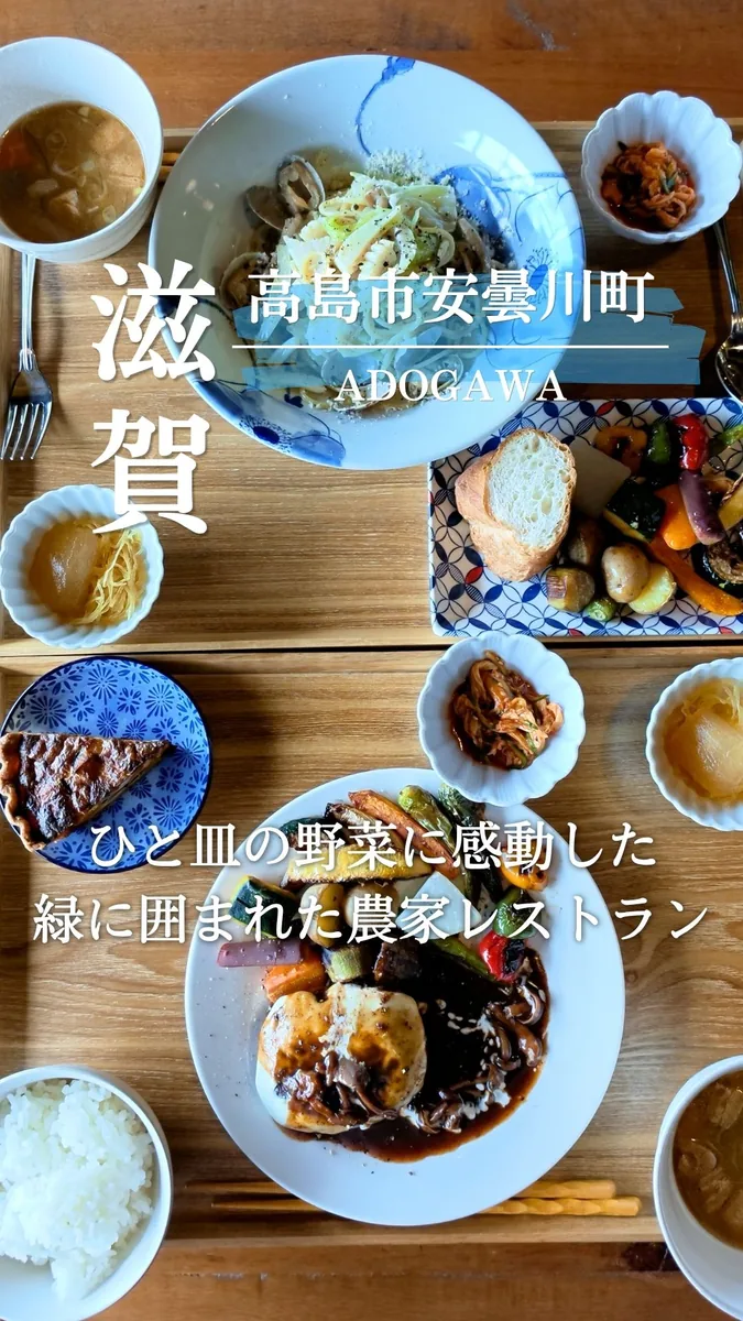 野菜のランチと店内は、リールでも紹介しています